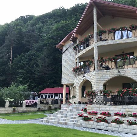 Casa Andra Hotel Slănic-Moldova Екстериор снимка