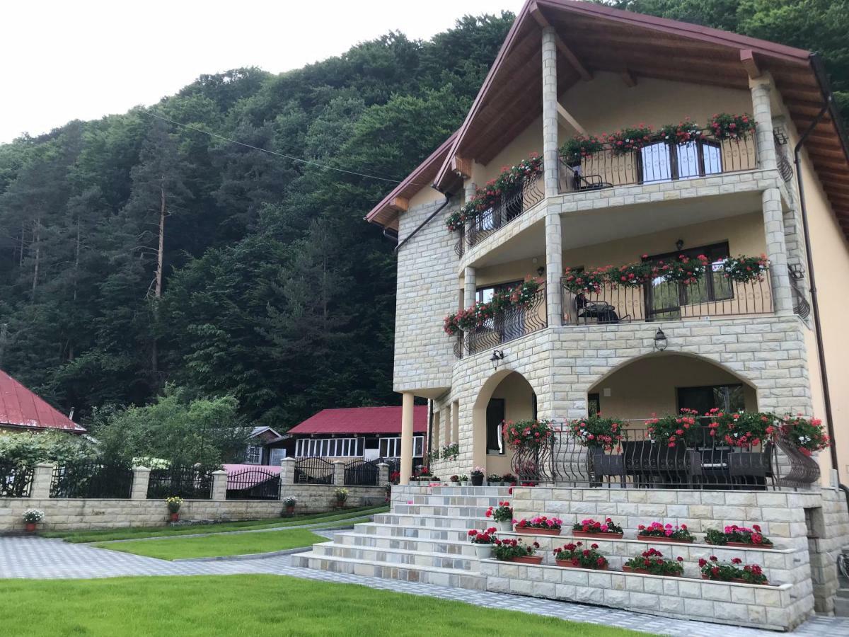 Casa Andra Hotel Slănic-Moldova Екстериор снимка