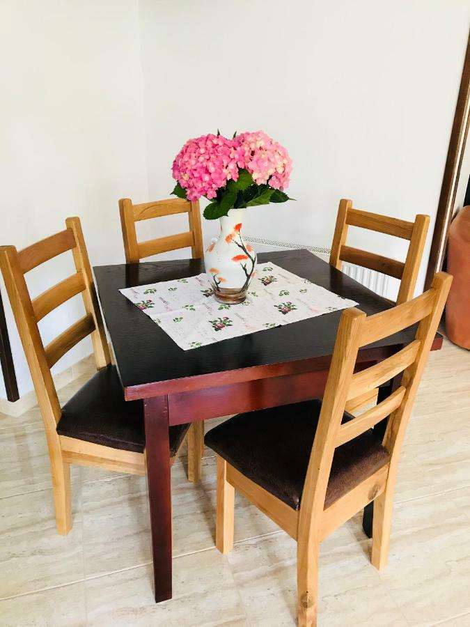 Casa Andra Hotel Slănic-Moldova Екстериор снимка