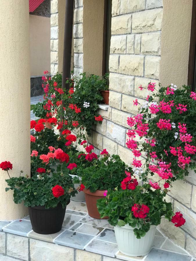 Casa Andra Hotel Slănic-Moldova Екстериор снимка