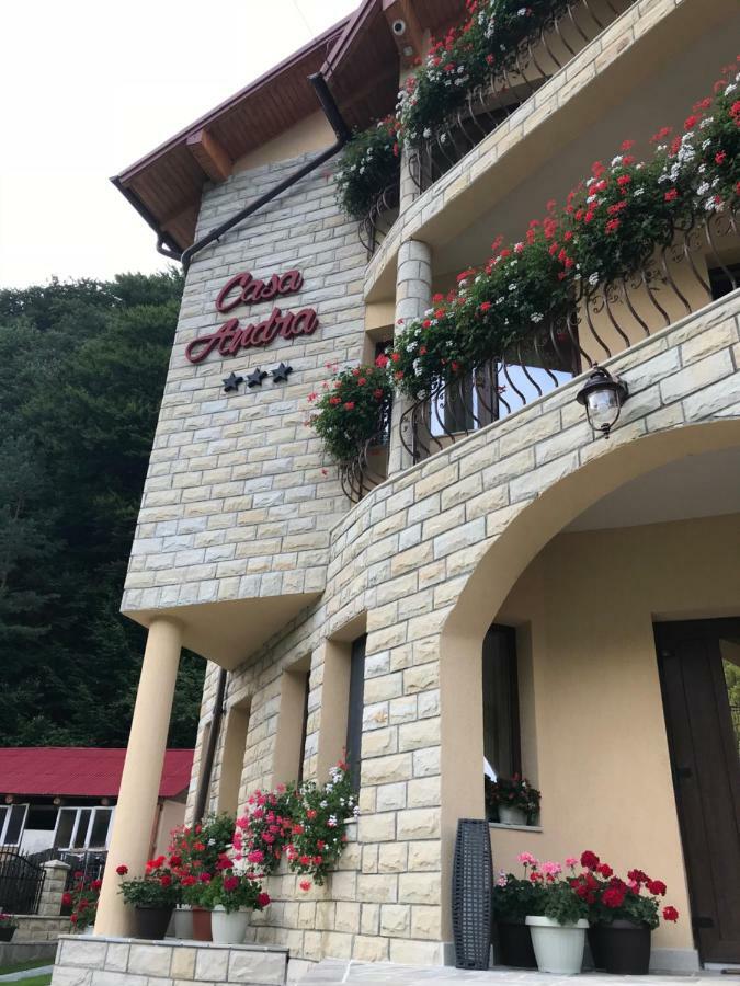 Casa Andra Hotel Slănic-Moldova Екстериор снимка