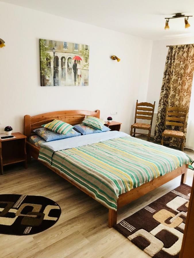 Casa Andra Hotel Slănic-Moldova Екстериор снимка